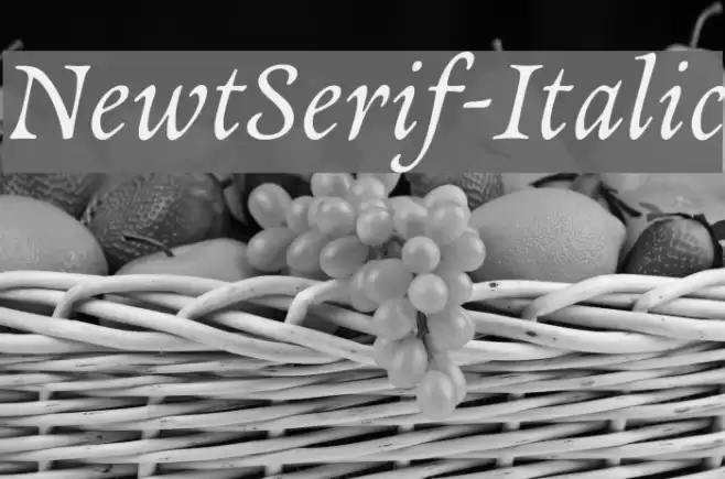 NewtSerif-Italic Font examples
