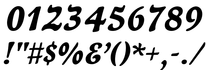 NewtSerifBold-Italic Font OTHER CHARS