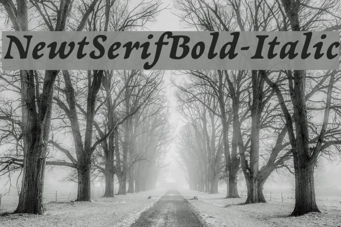 NewtSerifBold-Italic Font examples