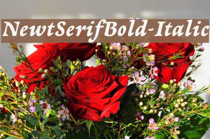 NewtSerifBold-Italic Font examples