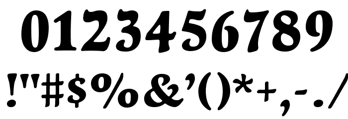 NewtSerifBold Font OTHER CHARS