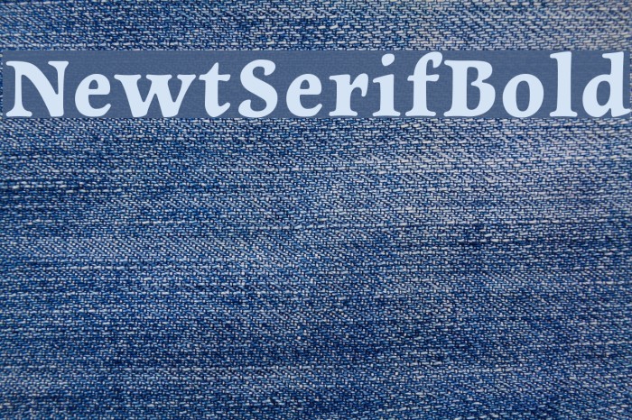 NewtSerifBold Font examples