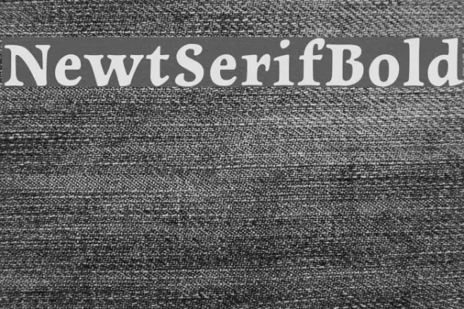 NewtSerifBold Example 1