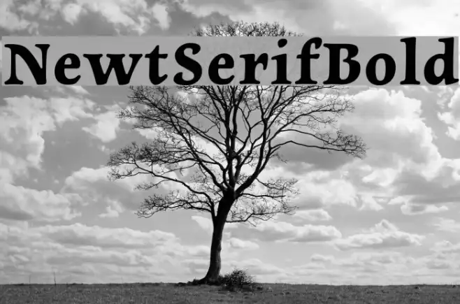 NewtSerifBold Example 2