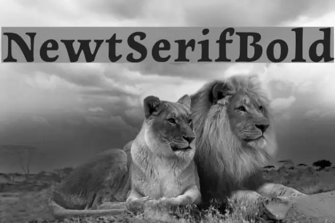 NewtSerifBold Example 3