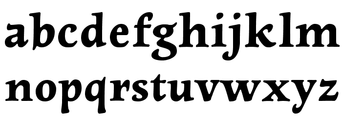 NewtSerifBold Font LOWERCASE