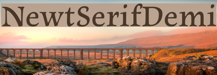 NewtSerifDemi Font examples