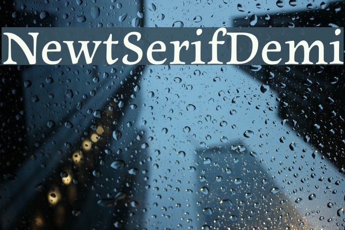 NewtSerifDemi Font examples