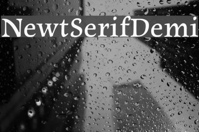 NewtSerifDemi Example 2