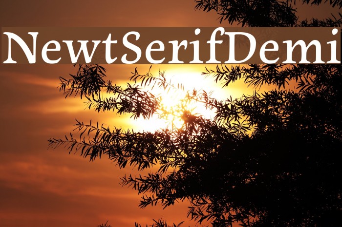 NewtSerifDemi Font examples