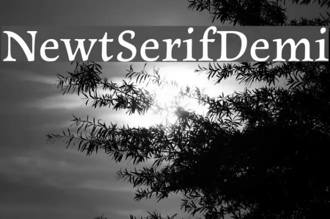 NewtSerifDemi Example 3
