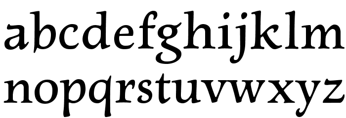 NewtSerifDemi Font LOWERCASE