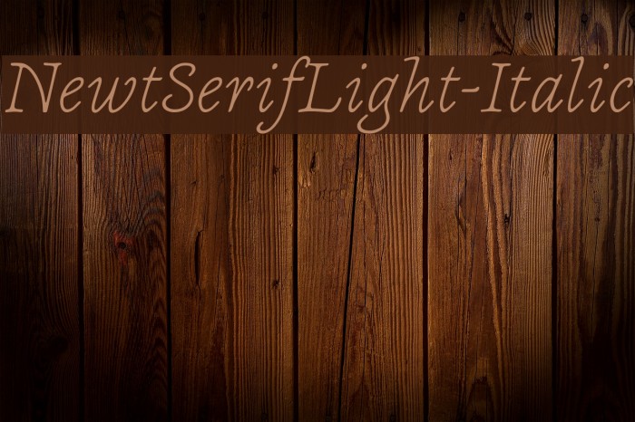NewtSerifLight-Italic Font examples