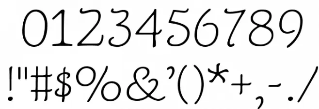 NewtSerifLight Font OTHER CHARS