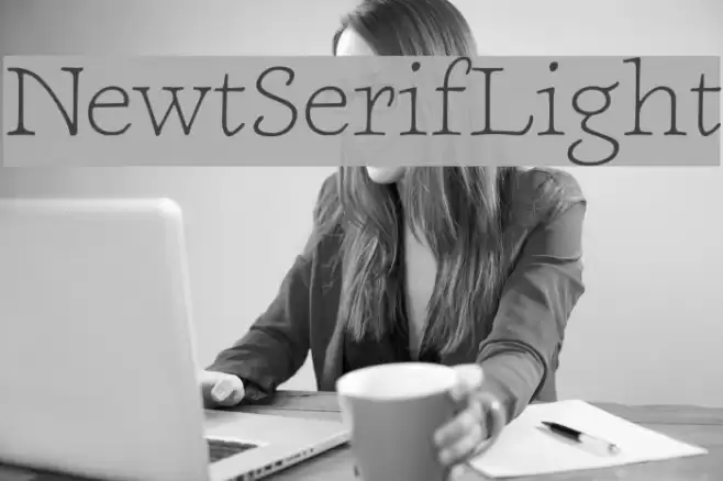 NewtSerifLight Font examples