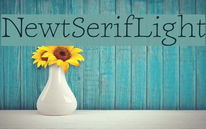 NewtSerifLight Font examples