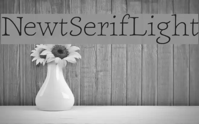 NewtSerifLight Font examples