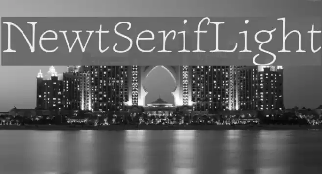 NewtSerifLight Font examples