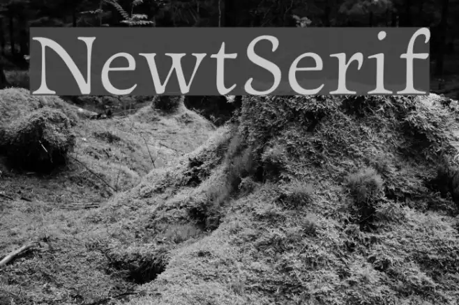NewtSerif Example 2