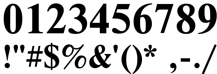 NewtonCTT Bold Font OTHER CHARS