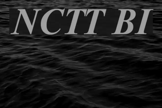 NewtonCTT BoldItalic Font examples