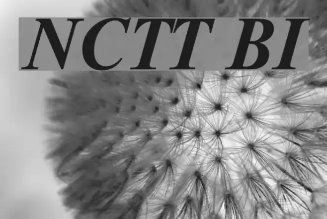 NewtonCTT BoldItalic Font examples