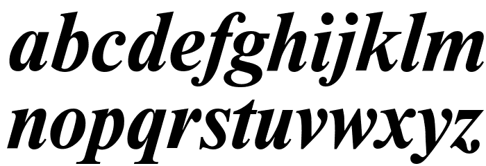 NewtonCTT BoldItalic Font LOWERCASE
