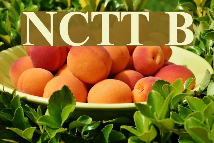 NewtonCTT Bold Font examples
