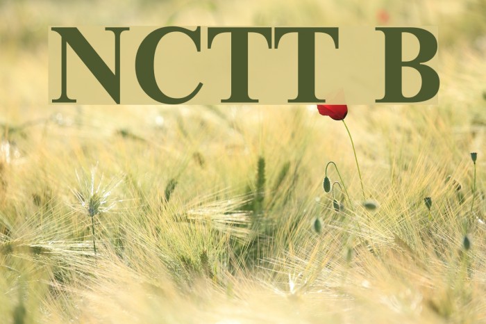 NewtonCTT Bold Font examples