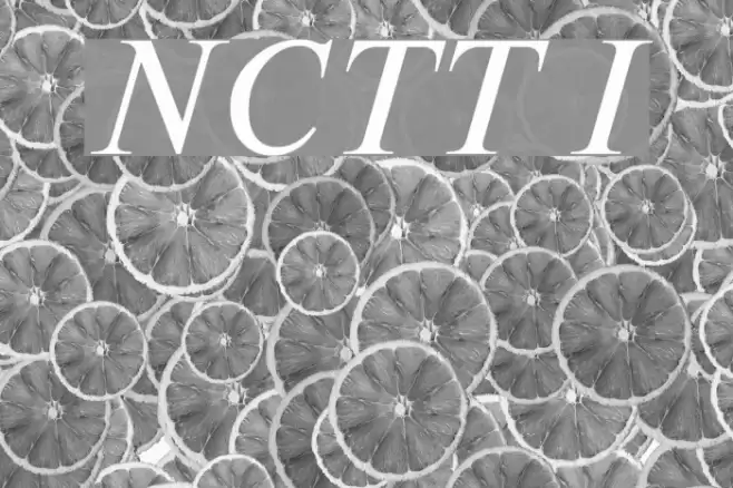 NewtonCTT Italic Font examples