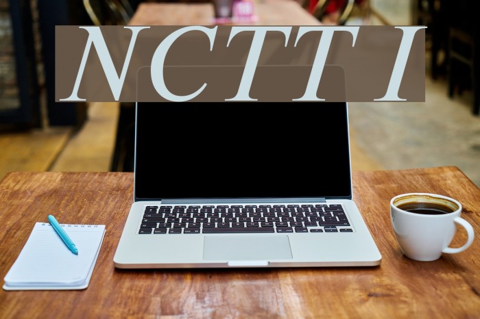 NewtonCTT Italic Font examples