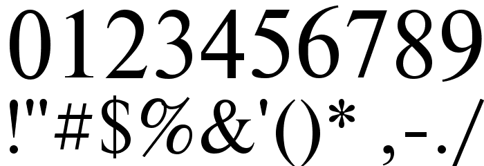 NewtonCTT Font OTHER CHARS