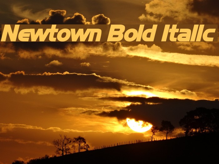 Newtown Bold Italic Font examples
