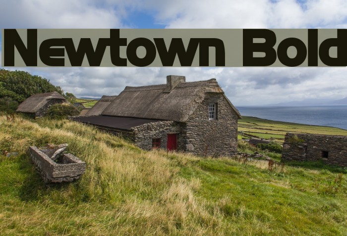 Newtown Bold Font examples