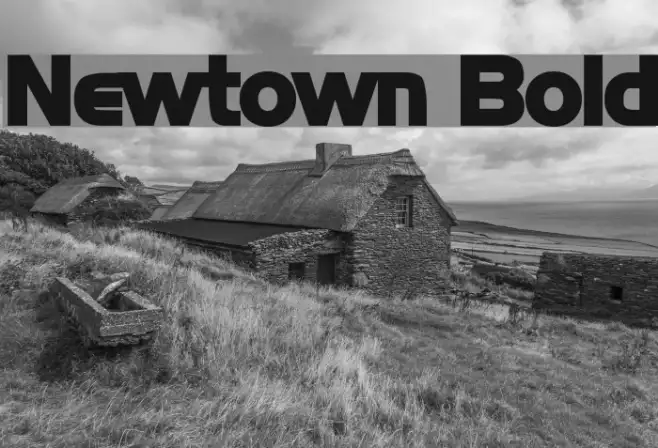 Newtown Bold Example 1