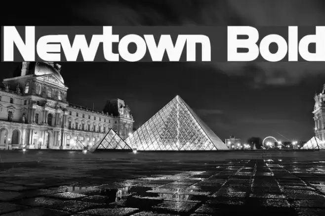 Newtown Bold Example 2