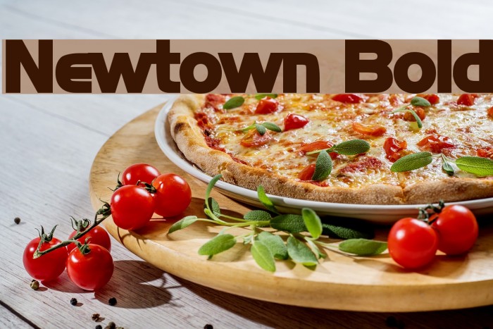 Newtown Bold Font examples
