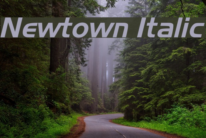 Newtown Italic Example 1
