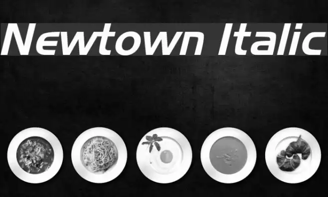 Newtown Italic Font examples