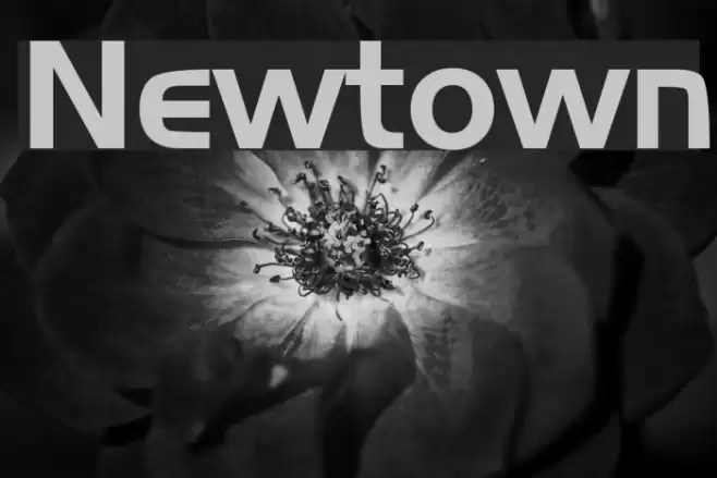 Newtown Font examples