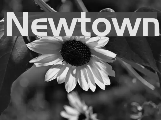 Newtown Font examples