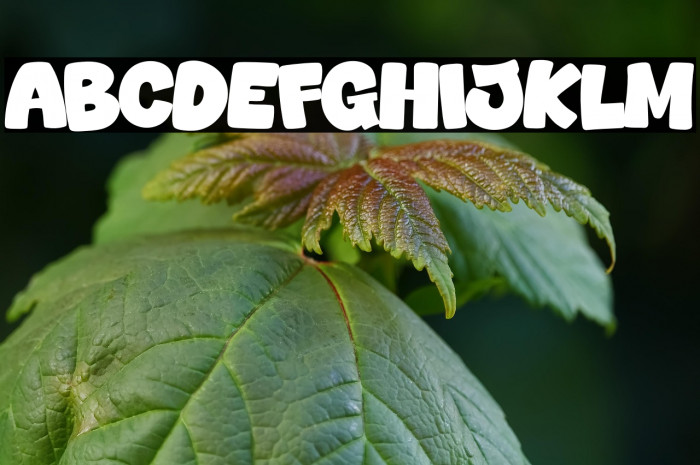 Newyear Goo Example 1