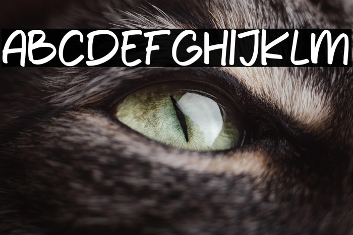 Newyear Playtime Example 2