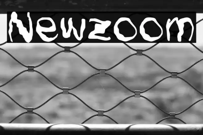 Newzoom Example 3