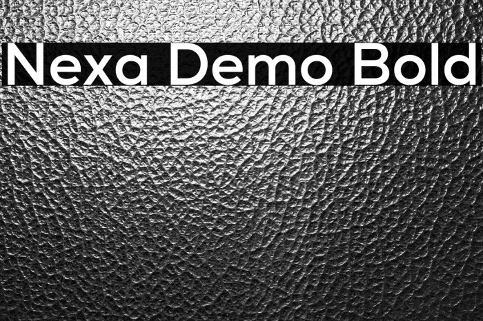 Nexa Demo Bold Example 1