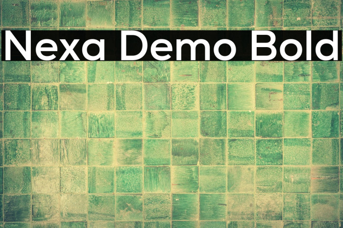 Nexa Demo Bold Example 3