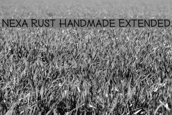 Nexa Rust Handmade Extended Caratteri examples