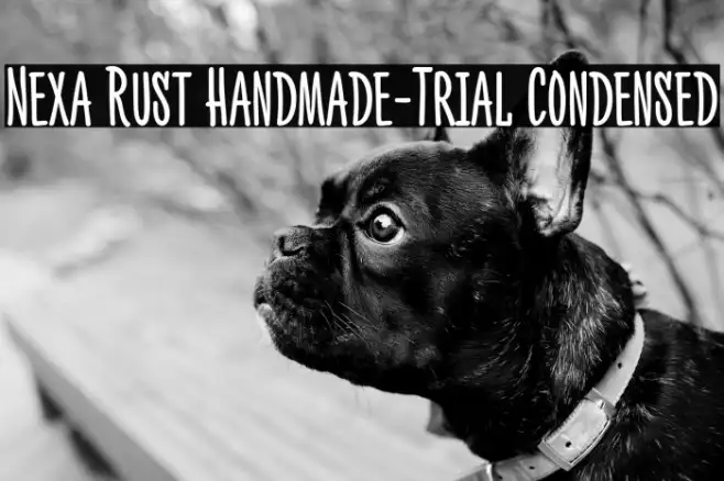 Nexa Rust Handmade-Trial Condensed Font | Free Download (TTF