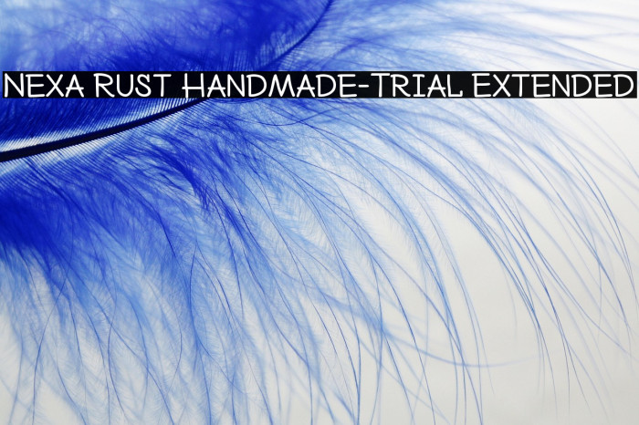 Nexa Rust Handmade-Trial Extended Example 2