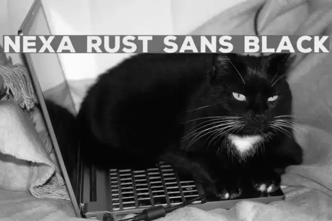 Nexa Rust Sans Black Example 1